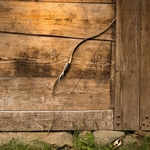 LARP Scythian Horsebow - Wood