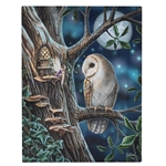 Owl and Fairy Canvas Print - 7.5 X 9.8