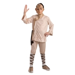 Deluxe Aang Child Costume 32-884187
