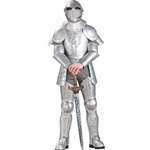Knight in Shining Armor Adult Costume 38-60474