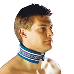 Kold Kollar With Ice Insert
