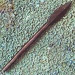 Tanged Arrowhead AH-3522.15
