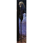 Skull Sickle 100-155100