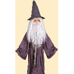 Gandalf the Gray Childrens Costume