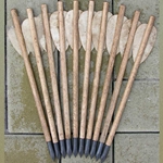 Crossbow Bolt Set of 10 Arrows - Forged Tips