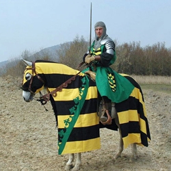 Horse Trapper