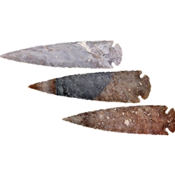 Arrowhead Assortment - XL AAH05