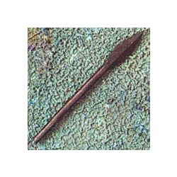 Tanged Arrowhead AH-3522.15