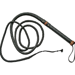 Pakistan - Bull Whip PA891805